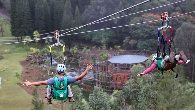 The zipline at Lanai Adventure Park soars 1,200 feet over the park’s valley.