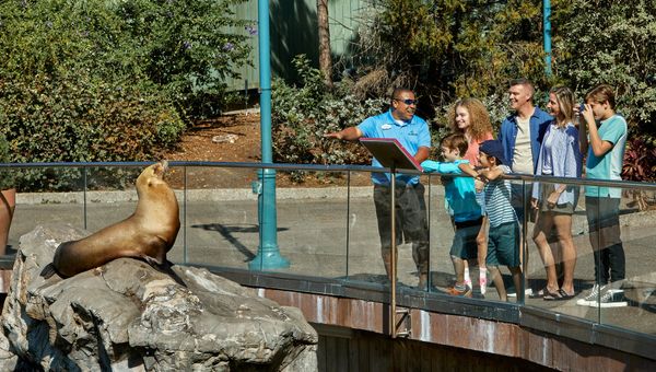 SeaWorld's VIP tours can include animal interactions.