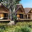 Natural Selection creating luxe safari camp in Botswana's Moremi Reserve