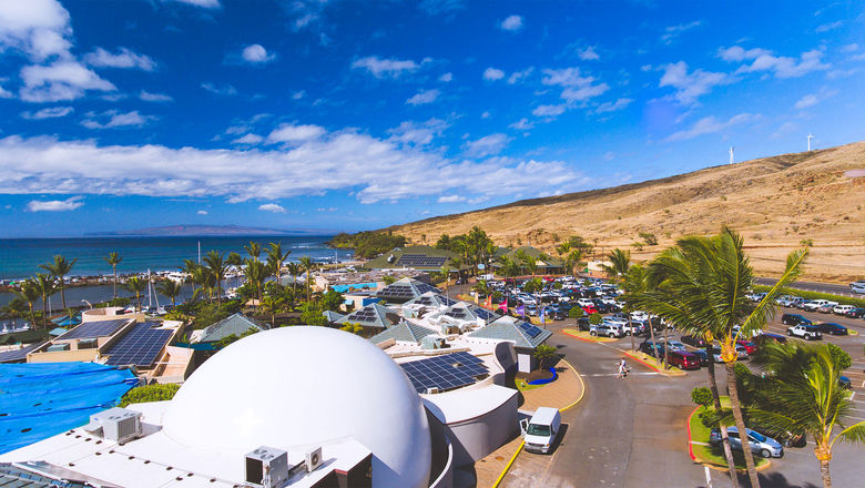 A new tour at Maui Ocean Center celebrates Hawaii's native plants.