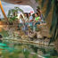 SeaWorld's limited-run 'Ultimate Shark Experience' showcases all things sharks