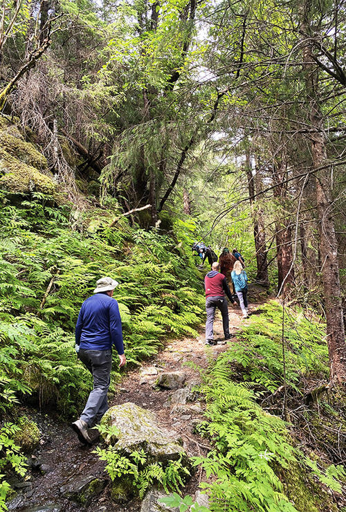 Hikers in the Tongass National Forest during the Mendenhall Glacier Guide's Choice trail hike.
