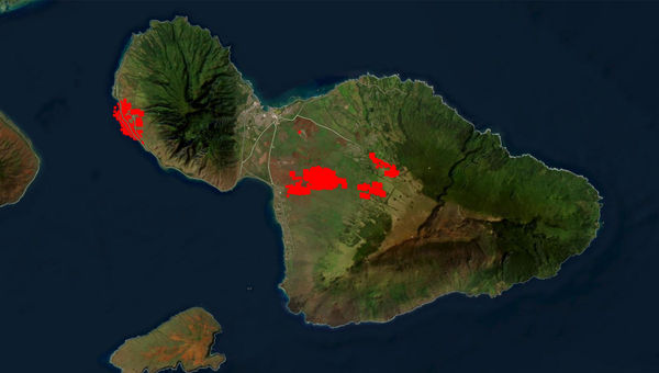 An image of the Hawaiian island of Maui showing the regions where wildfires burned. The information was from the 24-hour period before Thursday morning.