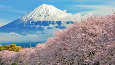 Views of Japan's Mount Fuji from Ryuganbuchi in Shizuoka prefecture.