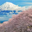 Ride & Seek buys Cycle Japan, plans expansion