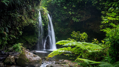 Waterfall on Dominica. The island is offering a free specialist program for travel advisors.