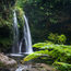 Dominica invites travel agents to become island specialists