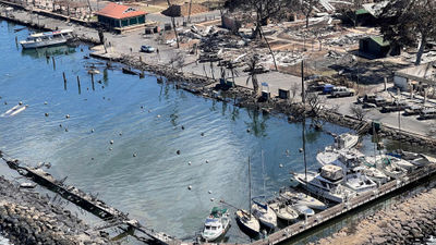 Lahaina Harbor after wildfires destroyed most of the small boats moored there.