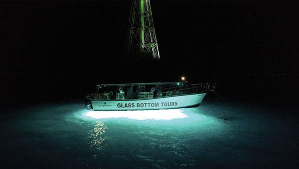 Perahu berlantai kaca Transparensea dalam tur malam hari melihat terumbu karang dan kehidupan laut di mercusuar Alligator Reef di lepas pantai Islamorada.