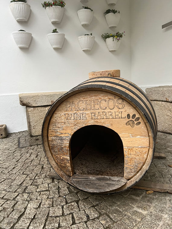 Pacheco makes his home in this wine barrel-turned-doghouse at the Wine House Hotel and Spa on the Quinta da Pacheca estate.