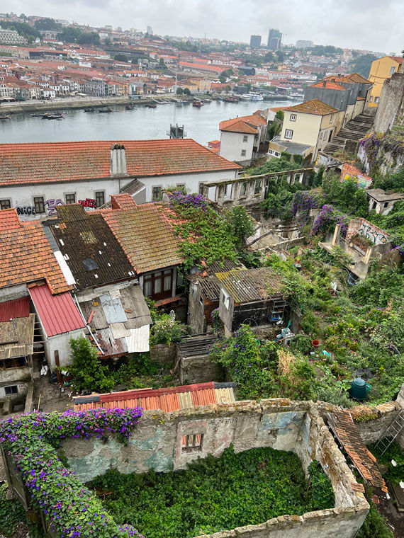 Ancient ruins can be found amid colorful townhomes with their terra cotta roofs in the city's historic center.