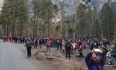 A large crowd of tourists at Yosemite National Park.