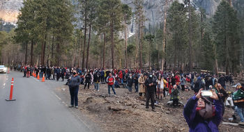 A large crowd of tourists at Yosemite National Park.