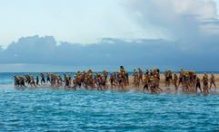 Swimmers hit the water at a previous Coral Reef Swim. This year's event is scheduled for Nov. 12.
