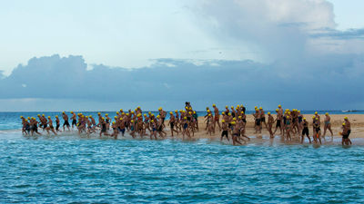 Swimmers hit the water at a previous Coral Reef Swim. This year's event is scheduled for Nov. 12.