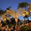 In the search for a mai tai, discovering nonalcoholic drinks in Hawaii
