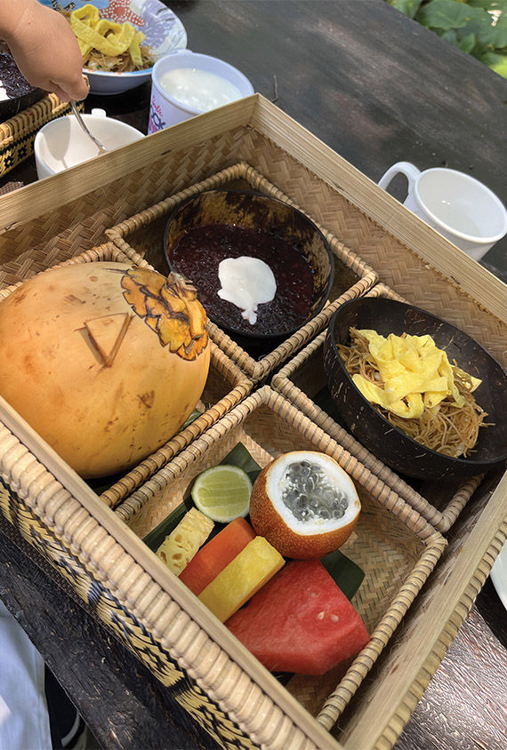 A selection of traditional Balinese breakfast items: fresh coconut water, black rice pudding, noodles topped with egg and local fruit.