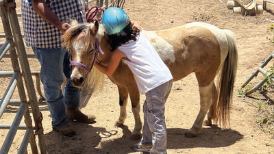 The author's daughter gives pony Lili a goodbye hug at Turtle Bay Resort on Oahu's North Shore in Hawaii.