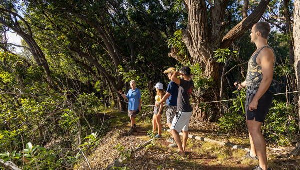 Bike Hawaii has been offering guided hikes of the Palehua area of Oahu for several years.