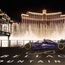 Trees will soon return to Fountains of Bellagio -- but not all of them