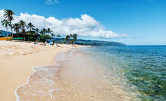 One of Oahu's main areas of concern for overtourism is the North Shore corridor.