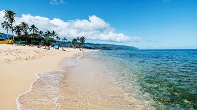 One of Oahu's main areas of concern for overtourism is the North Shore corridor.