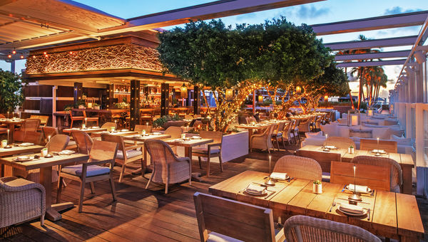 The hotel's rooftop pool deck is also home to the newly updated restaurant Watr at The Rooftop, which serves shareable Asian dishes. The hotel's rooftop pool deck is also home to the newly updated restaurant Watr at The Rooftop, which serves shareable Asian dishes.