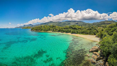 The granite islands of Seychelles harbor natural riches, including roughly 75 endemic plant species.