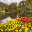 Adventures by Disney unveils Holland/Belgium river cruises for 2025