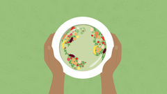 Focus on culinary travel: Sustainability is on the menu