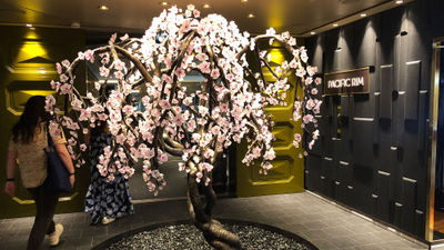 The Bonsai Cherry Tree, with its 2,000-plus glass cherry blossoms, adorns the entrance to the Pacific Rim restaurant.