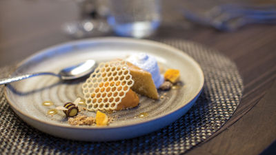 A course on the climate change menu, the Melting of the Polar Caps.