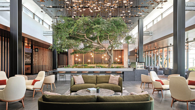In the Atlanta Centurion Lounge, the main seating area features a 50-year-old olive tree.