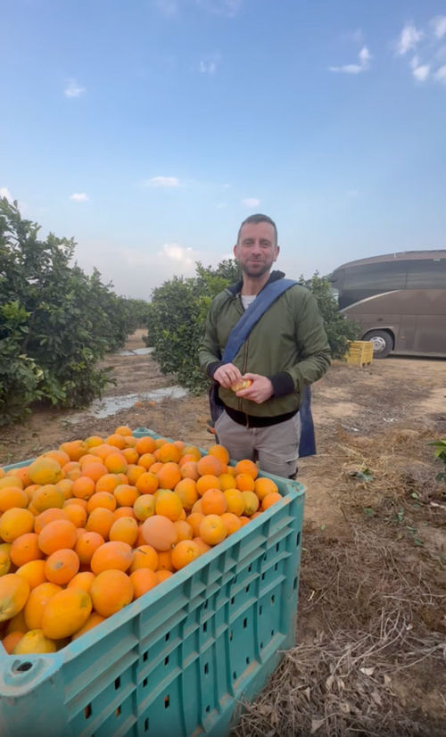 Dane Steele Green, owner of Steele Luxury Travel in Asbury Park, N.J., picks fruit in Israel in December.
