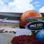 Disney makes it easier for guests to plan dining for their whole vacation