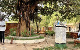 The Freedom Tree Monument at Triangle Park on the island of Janjanbureh, located on the Gambia River. The island was a refuge for escaped slaved from the surrounding areas. When they arrived on the island and touched or hugged the tree, their names were recorded in the register and they became free.