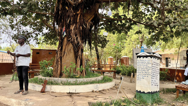 The Freedom Tree Monument at Triangle Park on the island of Janjanbureh, located on the Gambia River. The island was a refuge for escaped slaved from the surrounding areas. When they arrived on the island and touched or hugged the tree, their names were recorded in the register and they became free.