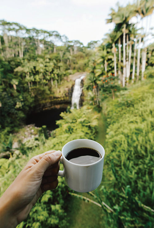 Morning coffee overlooking Kulaniapia Falls in Hilo.