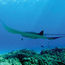 Some expert tips for creating a memorable Big Island visit