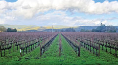 All aboard the Napa Valley Wine Train