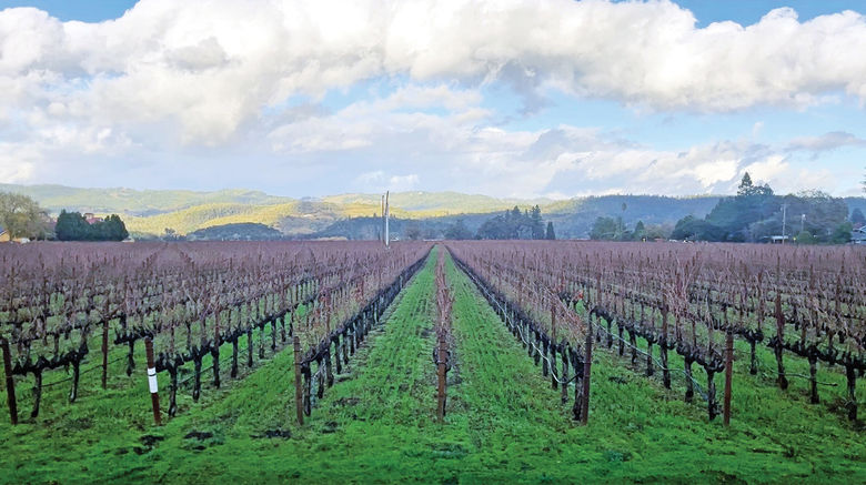 Clouds rolling over the vineyards of Napa Valley, seen from the Napa Valley Wine Train, a luxury day tour operator that takes guests on a wine and culinary tasting tour through the valley aboard vintage trains.