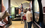 Visitors view artifacts and exhibits in the museum.