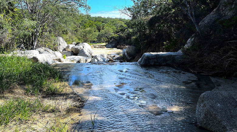 At Rancho Cacachilas, guests can hike along creeks that have reemerged, thanks to the property's water conservation efforts.