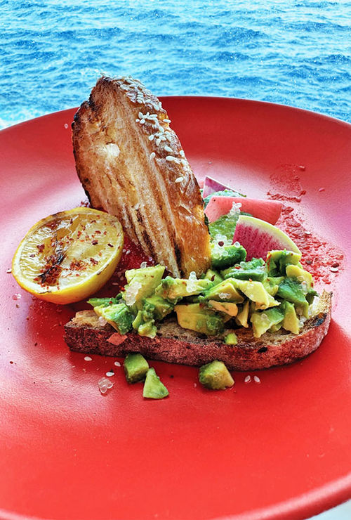 The writer's avocado toast at the Sip, Plate, Snap activity in the ship's Test Kitchen.