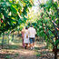 Lahaina's Maui Chocolate Tour reopens with something new