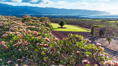After selling out tours last year, Little Plumeria Farms is open for tours again this year.