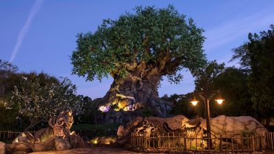 At Disney's Travel Advisor Appreciation Station, advisors will have a view of the Tree of Life.