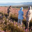 Choosing the right safari or wildlife operator for your clients