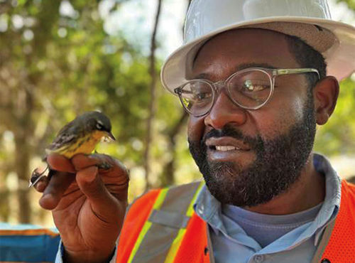 Conservation programs manager Bradley Watson holds a Kirtland’s warbler.