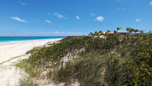 Left, Disney Cruise Line plans to build crossovers to protect the dunes at Lighthouse Point.